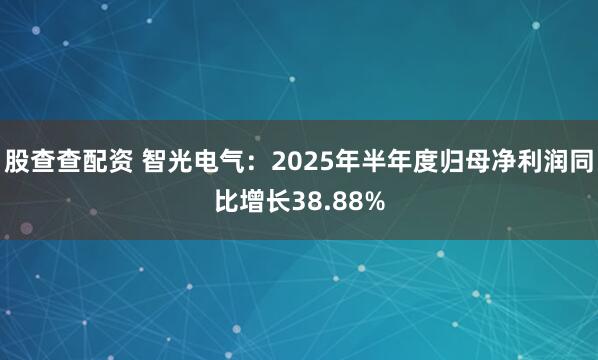 股查查配资 智光电气：2025年半年度归母净利润同比增长38.88%