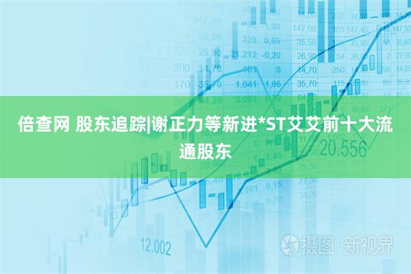 倍查网 股东追踪|谢正力等新进*ST艾艾前十大流通股东