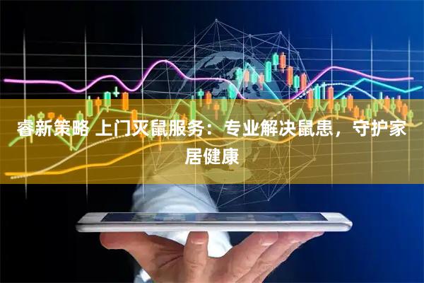 睿新策略 上门灭鼠服务：专业解决鼠患，守护家居健康